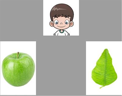 Verb-Mediated Prediction in Bilingual Toddlers